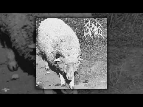 Sår - Existential Crisis (EP - 2020)