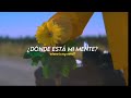 Billie Eilish Bellyache Lyrics Español