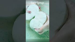 ASMR Body Sponge x Recycle Detergent