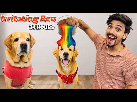 Irritating Reo For 24 Hours | Reo Ne Kaat Liya | Anant Rastogi
