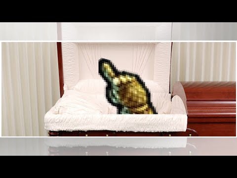 MSI Prize Pool Contributions From Conqueror Varus and Ward Corrected to $720K