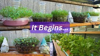 Grow Loads of Food Even In The Heat, New Adapter