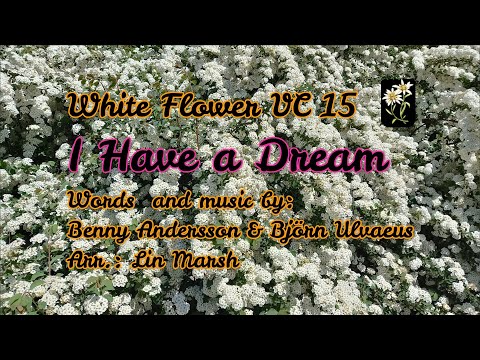 White Flower VC #15 - I Have a Dream