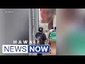 HFD: ‘Intense’ blaze that tore through Kailua warehouse deemed accidental