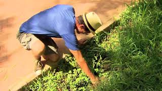 Mais de 300 rios e nascentes passam por debaixo de São Paulo