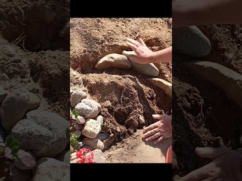 Jardinería y Paisajismo J&Y Chilecito -La Rioja. Número de contacto: 3825-569606