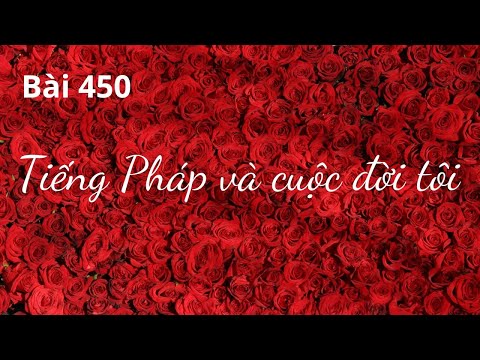 Bài 450 - Tiếng Pháp e cuộc đời tôi