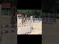 Poney Welsh Cob de 4 ans