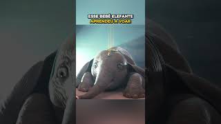 Esse bebê elefante aprendeu a voar
