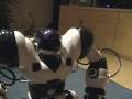 Eye Of The Tiger Robosapien