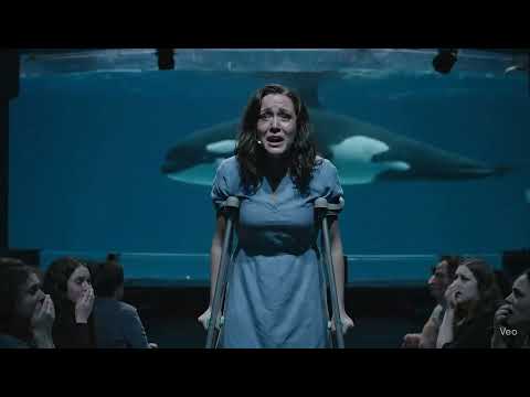Jessica’s Return After the Orca Attack | Emotional Reunion