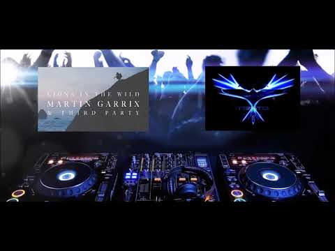 Lions in the Wild vs Welcome to Ibiza Martin Garrix vs Tiësto