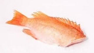 Как приготовить рыбный суп из морского окуня