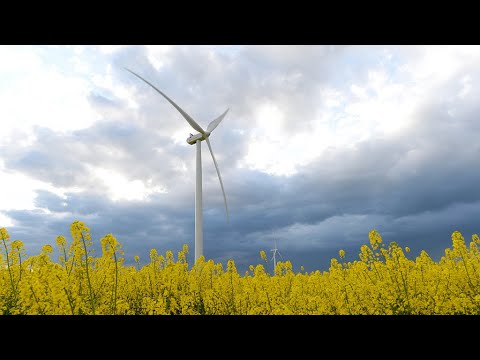 Boosting Europe's renewable energy sector