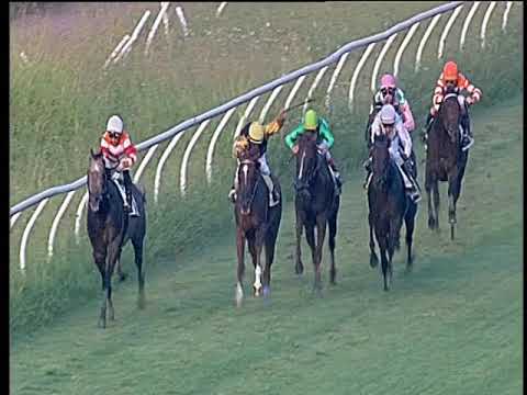 Galoppo 28/08/2019 - 3ª corsa