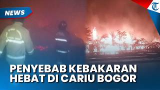 Penyebab Kebakaran Peternakan Ayam di Cariu Bogor Terkuak, Rugi Rp6,5 Miliar dan Satu Pekerja Luka