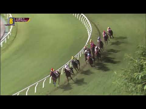 莎皇者   21/05/26……(707)第八塲二班1650米( 巡邏影片)