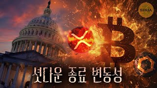   KR  탐색 건너뛰기 비트슈아      만들기   아바타 이미지  불안과 기대 교차 | 비트코인 장기투자자 매도 이유, XRP ETF 승인! 다음은?