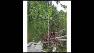 snackvideo di suruh pulang kaga mau auto ngamuk bapaknya #fyp #viral #lucu