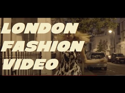 THE NIGHT FOX - Fox In A Glove