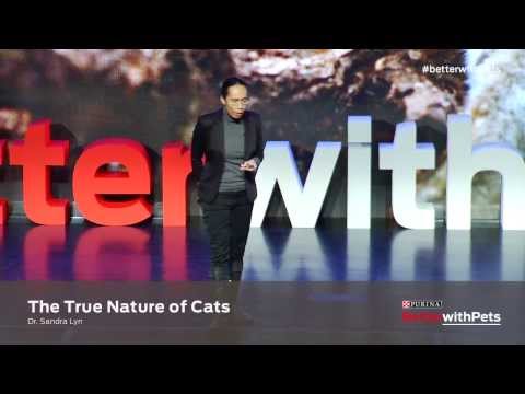 Highlights: Behaviorist Dr. Sandra Lyn: Communicating with Your Cat