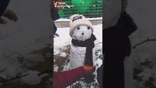 Snowman enjoy in kashmir 😘