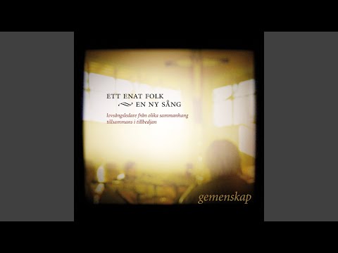 Allt som Du har sagt