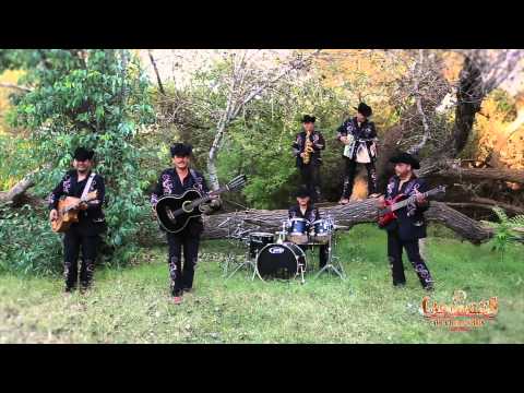 download lagu mp3 mp4 La Bikina Chihuahua, download lagu La Bikina Chihuahua gratis, unduh video klip La Bikina Chihuahua