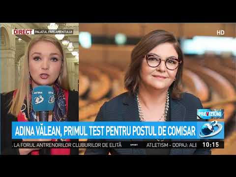 Adina Vălean, audiată de parlamentarii români