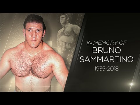 download lagu mp3 mp4 Wwe Bruno Sammartino, download lagu Wwe Bruno Sammartino gratis, unduh video klip Wwe Bruno Sammartino