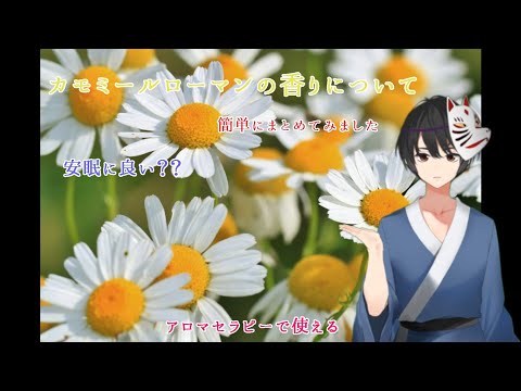 ローマンカモミールについて詳しく解説