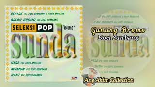 Download lagu Seleksi Pop Sunda Vol 1 Doel Sumbang Dkk... mp3
