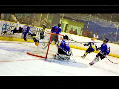 King Fritte - Hammer Eisbären - Lass die Bären los