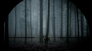 Wait, THAT'S NOT A HOG! | Hog Hunter indie horror game