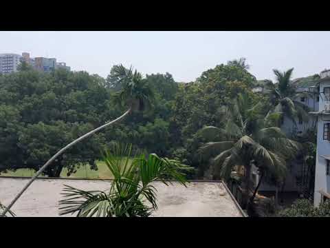 Qualities, Habits, Mindset & Paradise | Best Islamic Motivation