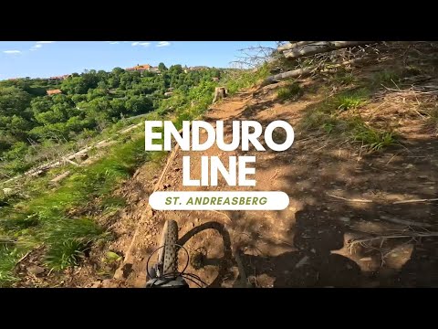 Enduro Line MSB-X-Trail Bikepark St. Andreasberg Harz full run POV RAW