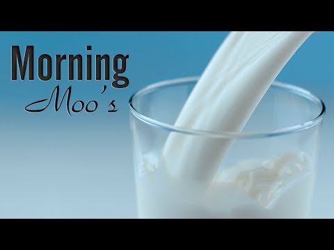 Powdered Moo's Milk - Great for storage and I love it!