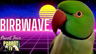 Birbwave | Synthwave 80's Inspired Music for Birds | Parrot TV for Your Bird Room🎹