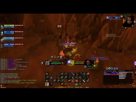 WoW vanilla shaman enhanc tank RFC