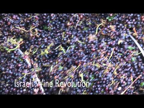Israeli Wine Revolution
