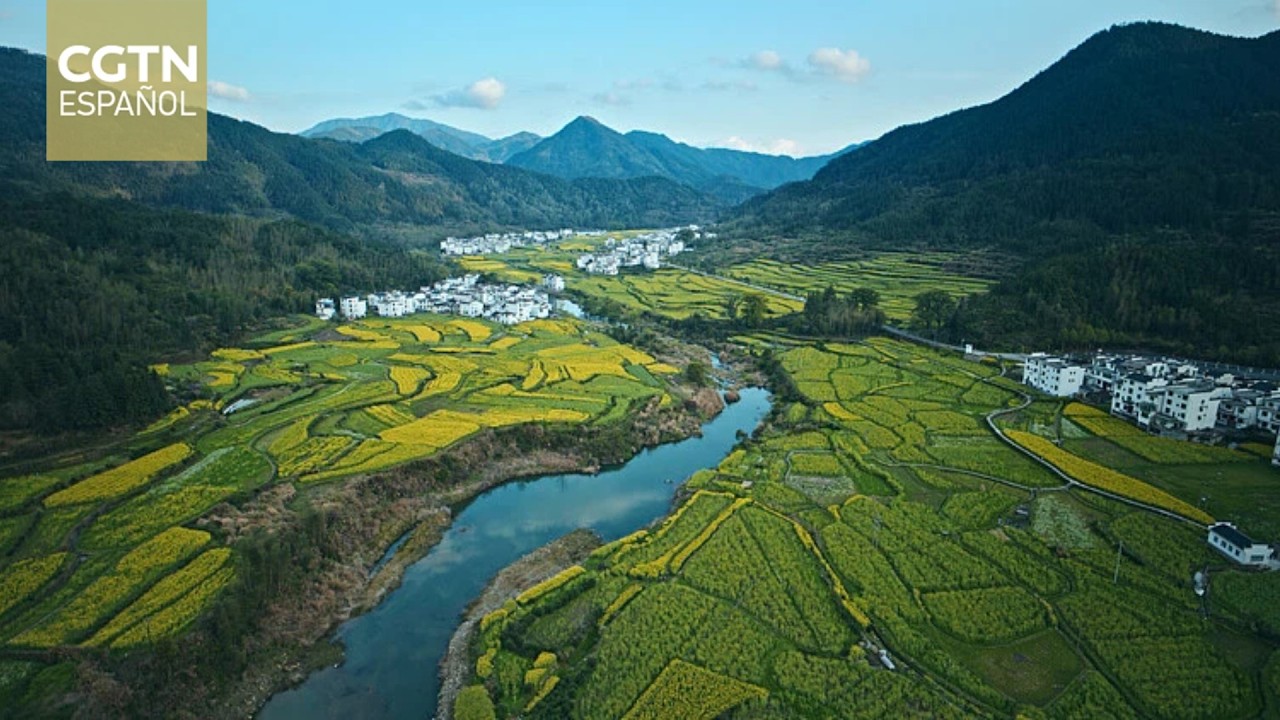 Premier chino pide garantizar suministro constante y seguro de cereales