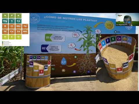 Manejo Post Cosecha de Café para mejorar la Calidad de Taza