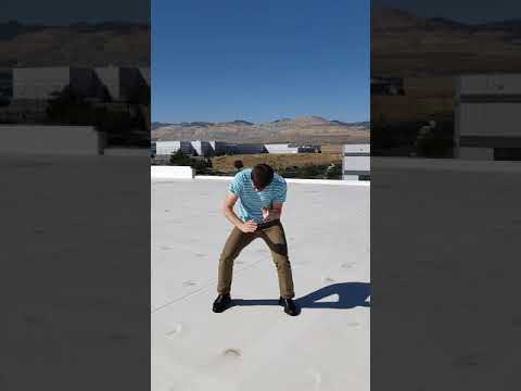 The OA Part 3: The Movements