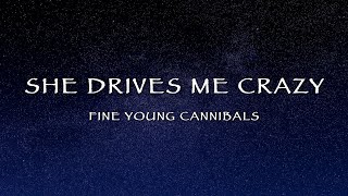 Download lagu Fine Young Cannibals - She Drives Me Crazy (Lyrics) mp3 Download lagu Fine Young Cannibals - She Drives Me Crazy (Lyrics) mp3