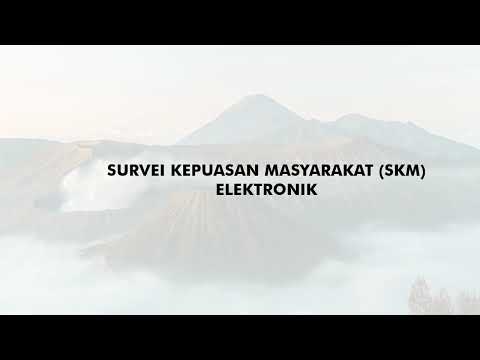 SKM Elektronik