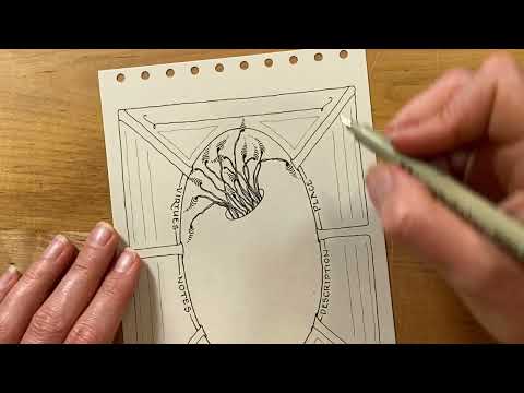 Zentangle Project Pack No. 21 - Day 05