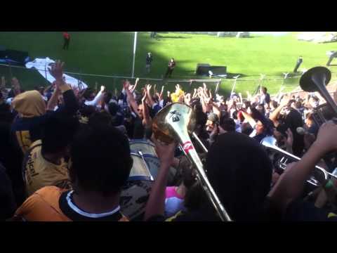 "la rebel empezando el karnaval en el cementerio ( cruz azul vs pumas) 9 de febrero 2013" Barra: La Rebel &bull; Club: Pumas