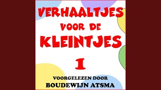 Het Spinnenweb