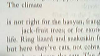 The Steeple-Jack by Marianne Moore