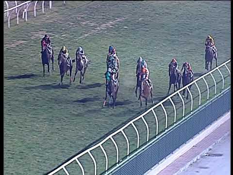 Galoppo 22/02/2019 - 6ª corsa - TRIS